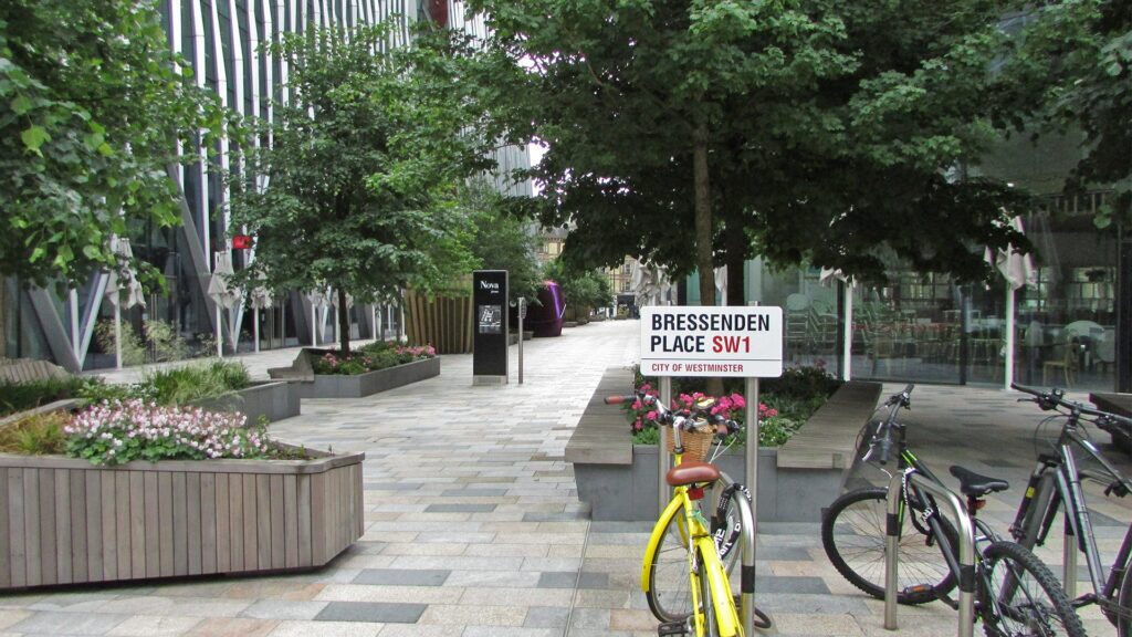 urban forest