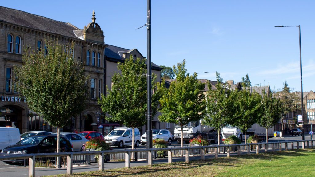 urban trees