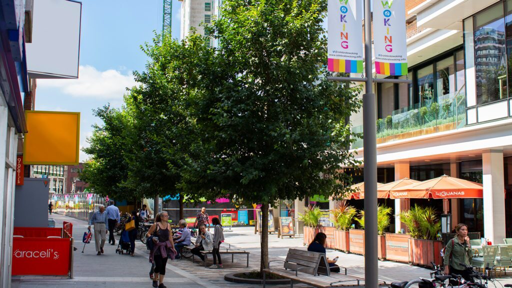 urban tree development