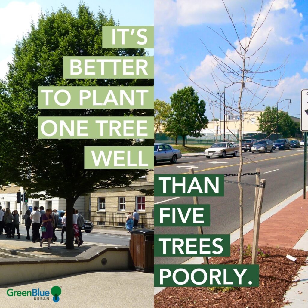 Image showing a large tree with soil cells vs. a small, dead tree without soil cells, with the text "It's better to plant one tree well than five trees poorly."