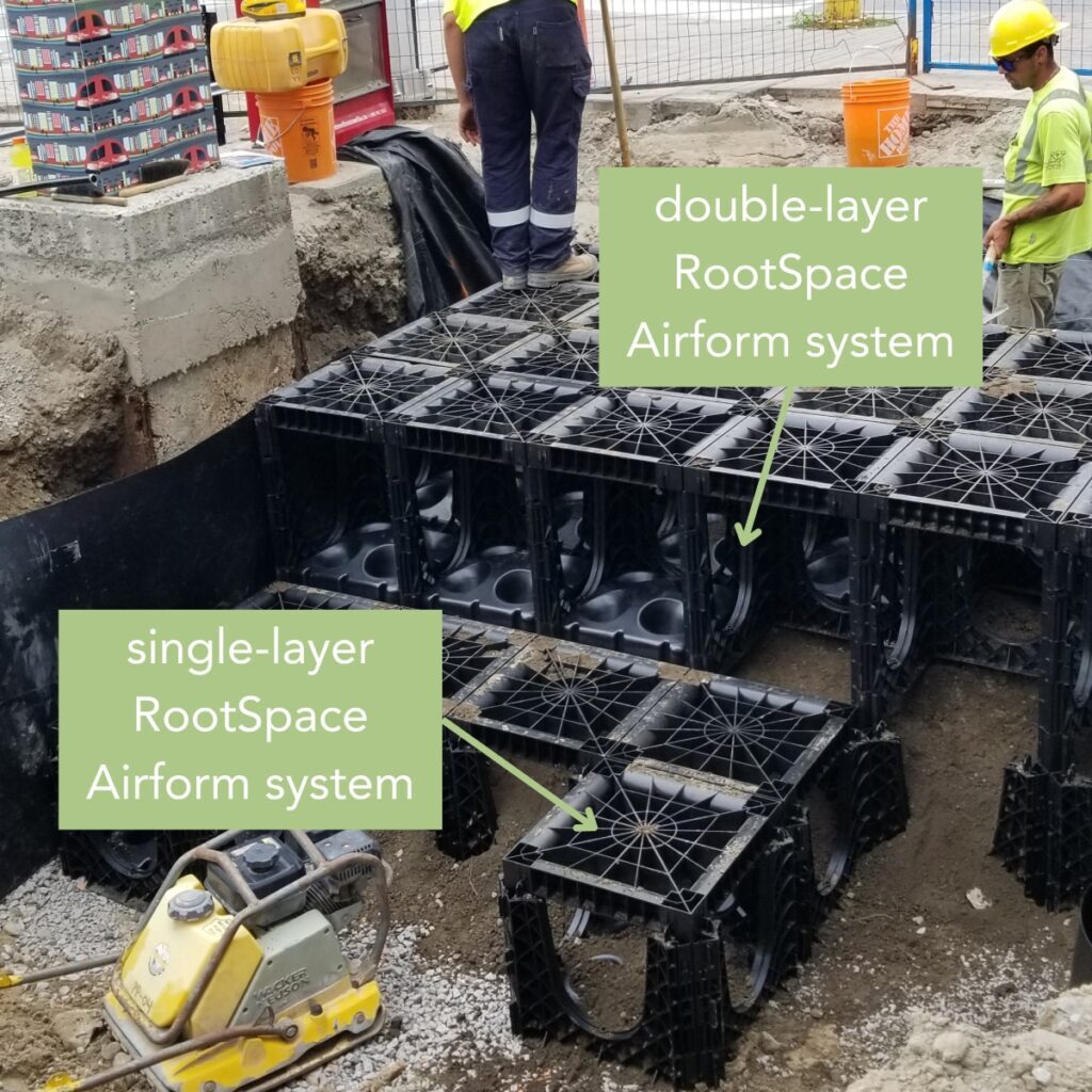 Image showing a single-layer soil cell system vs a double-layer soil cell system