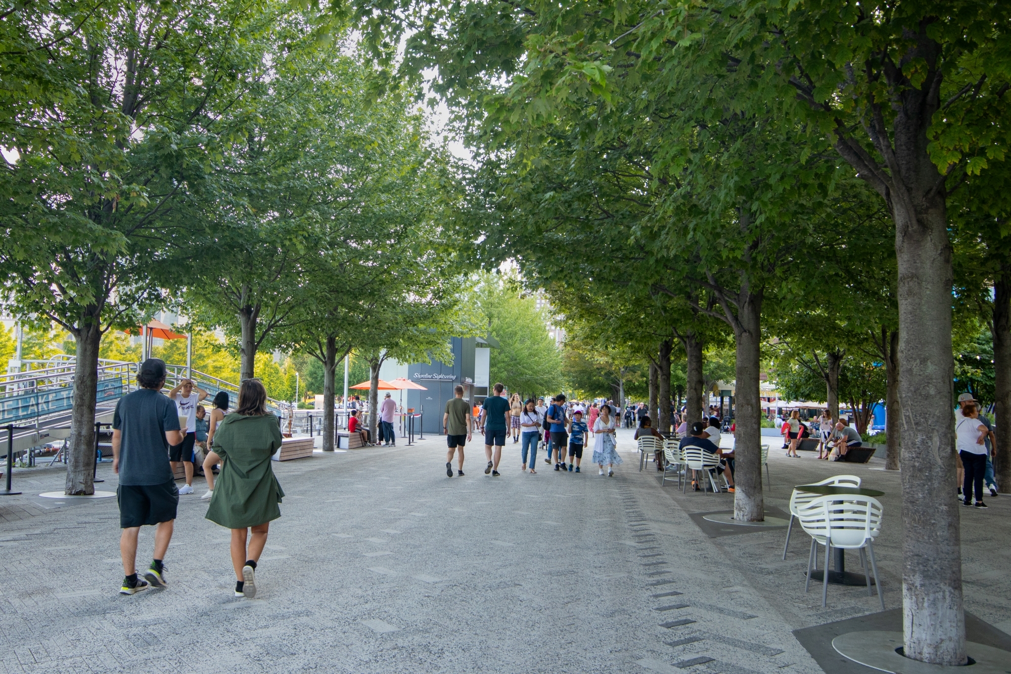 Row of large green trees on both sides of a pedestrian walkway