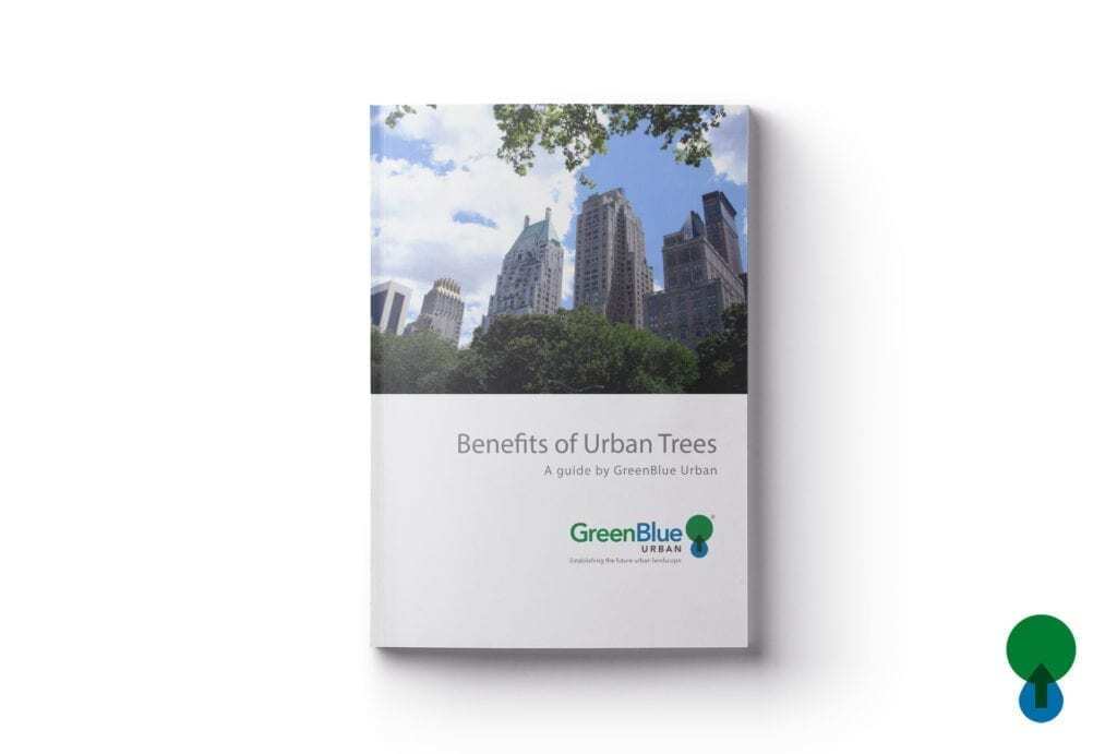 urban trees