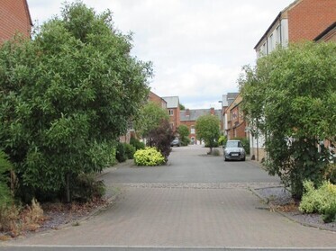 tree protection