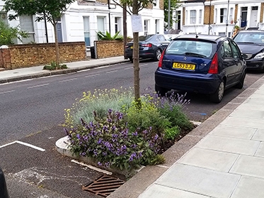 urban forests