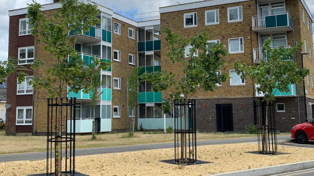 tree grilles